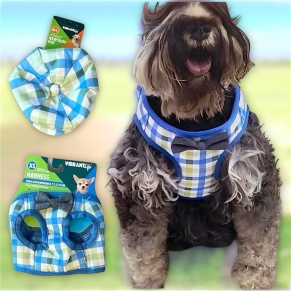Vibrant Life Dog Plaid Bow Tie Harness - Picture 9 of 15
